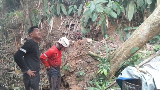 Cuaca Ekstrem ( Pohon Tumbang )