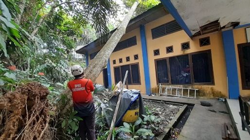 Cuaca Ekstrem ( Pohon Tumbang )